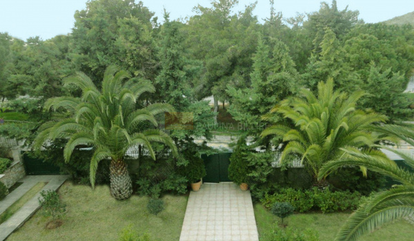Κήπος - Garden
